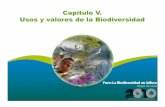 Capítulo V. Usos y valores de la Biodiversidadsiga.jalisco.gob.mx/multi/Usos y valores de la biodiversidad en... · •Mantienen a la biodiversidad •Generan y preservan al suelo