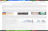Presentación de PowerPoint - Fedepalmaweb.fedepalma.org/sites/default/files/files/Cenipalma/posteres-rt... · Los factores escogidos para medir su efecto en la prueba de germinabilidad