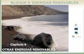 Capítulo 6 OTRAS ENERGÍAS RENOVABLES fileCENTRALES DE ENERGÍAS RENOVABLES ... La biomasa natural constituye la base del consumo energético de ... de las fuentes de biomasa y que