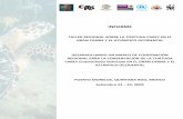 TALLER REGIONAL SOBRE LA TORTUGA CAREY EN EL … · proyectos para la región del GC/AO a ser presentados para solicitar financiamiento: reducción de la captura incidental de tortuga