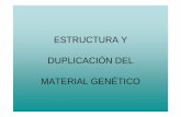 ESTRUCTURA Y DUPLICACIÓN DEL MATERIAL GENÉTICOecaths1.s3.amazonaws.com/geneticafaz/1136196633.ADN.pdf · ADN - ARN: cuadros comparativos. Diferencias entre ARN y ADN: ARN: • es