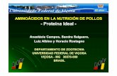 AMINOÁCIDOS EN LA NUTRICIÓN DE POLLOS -- Proteína …amena.mx/memorias/HR.pdf · PRODUCTIVIDAD DE LOS POLLOS DE ENGORDEPRODUCTIVIDAD DE LOS POLLOS DE ENGORDE Genética NUTRICIÓN