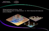 Prospectiva de Petróleo Crudo y Petrolíferos - gob.mx · 7 Agradecimientos Agradecemos la participación de las siguientes dependencias, entidades, organismos e instituciones para