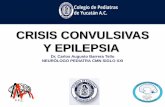 CRISIS CONVULSIVAS Y EPILEPSIA - Colegio de Pediatras de …pediatrasyucatan.org.mx/wp-content/uploads/2017/03/Crisis... · Trastorno neurológico que se caracteriza por la presencia