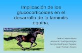 Implicación de los glucocorticoides en el desarrollo de la ...orientacionalaprofesion.com/_veterinaria/pdf/Eq-Laminitis y GC en... · tracto gastrointestinal y la endotoxemia. El