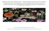 Luis Carlos Gutiérrez Pacheco - Repositorio CICY: Página ... · POSGRAD0 EN CIENCIAS Y BloTECNOLOGI'A DE PLANTAS Establecímiento de protocolos de solubilización con detergente