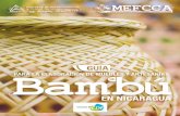 PRESENTACIÓN - Inicio - Bambu Nicaraguabambunicaragua.com/wp-content/uploads/2017/02/GUIA-BAMBU...6 7 Características, Especies y Usos del Bambú en Nicaragua. Características El
