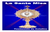 La Santa Misa internet · 2017-03-13 · muy hermosas que cantaban como si estuviesen lejos, ... sión de los celebrantes está saliendo para celebrar la Misa...y vas a participar