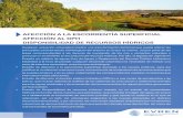 AFECCIÓN A LA ESCORRENTÍA SUPERFICIAL ... - evren.esevren.es/wp-content/uploads/2013/11/FPS_13_Afeccion_Escorrentia... · Estudio de disponibilidad de recursos hídricos y de alternativas