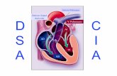 Arteria Pulmonar Defecto Septal V. Pulmonares AI AD VI VDcampus.usal.es/~ogyp/Clases teoricas 2012 2013/Cardiologia/CIA 2012... · • Fetopatía alcohólica • Formas familiares