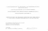 DE MIXTOS DE ZIRCONIA Y TITANIA COMO SOPORTES …148.206.53.84/tesiuami/UAM1289.pdf · Las reacciones de reformación catalítica avanzan en catalizadores bifuncionales con dos tipos
