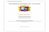 UNIVERSIDAD NACIONAL DEL ALTIPLANO - …zonasegura.seace.gob.pe/mon/docs/procesos/2013/001897/145021068rad... · universidad nacional del altiplano. licitacion publica n° 004-2013-una-puno.