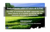 Comunicación sobre el futuro de la PAC - foropac.es 7_0... · Comunicación sobre el futuro de la PAC ... • Entrada en vigor del Tratado de Lisboa ... €/t France Rouen €/t