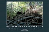 manglares de méxico · III.1 Importancia de contar con datos comprobables y actualizados ... marismas, en donde se refugian las postlarvas de Iguana en un manglar. foto: Joanna Acosta