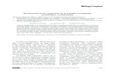 Morfometría de los equinodeos de la Familia Cassidulidae ... Martinez-echinoidea.pdf · izquierdo y 26 para el contorno posterior, sufi-cientes para la completa descripción de los