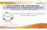 Eficiencia Energética en Paraguay Situación Actual · 4444---- Programas Programas Programas de Uso Eficiente y de Uso Eficiente y de Uso Eficiente y Racional de la EnergíaRacional