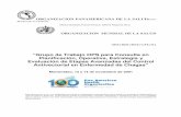 Grupo de Trabajo OPS para Consulta en Planificación, Operativa ...ops-uruguay.bvsalud.org/pdf/chagas01.pdf · La enfermedad de Chagas congénita, transfusional y otras vías en el