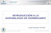 INTRODUCCIÓN A LA DURABILIDAD DE HORMIGONEScohemis.uprm.edu/hormigon/pdf/Amparo_Moragues_1.pdf · E.T.S.I. de Caminos, Canales y Puertos de Madrid Introducción a la durabilidad