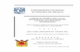 UNIVERSIDAD NACIONAL AUTÓNOMA DE MÉXICOherzog.economia.unam.mx/miguelc/docs/pubs/pub_tesis... · 2017-08-09 · UNIDAD ACADÉMICA DEL CICLO PROFESIONAL Y DE POSGRADO DEL COLEGIO