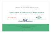 Informe Ambiental Resumen - ciu.com.uy · 7.4.1 Tratamiento de Lodos ... CÁMARA DE INDUSTRIAS DEL URUGUAY Informe Ambiental Resumen BEFESA - ESTUDIO INGENIERÍA AMBIENTAL 6 1. Resumen