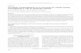 Novedadesetiopatogénicasenelcarcinomadecélulasrenales ...scielo.isciii.es/pdf/aue/v33n5/v33n5a02.pdf · Xp11, carcinoma asociado a neuroblastoma y carci - noma mucinoso tubular.