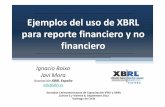 Ejemplos del uso de XBRL para reporte financiero y no · de sostenibilidad, códigos de conducta, guías para la elaboración de informes y certificaciones, etc. El Cuadro Central