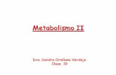 Metabolismo II - nutricion2013.files.wordpress.com · a la cadena respiratoria y finalmente ... que forman parte de la respiración celular ... (poder reductor y ATP). • El ciclo