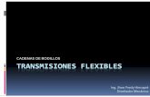 CADENAS DE RODILLOS TRANSMISIONES FLEXIBLESs45d5ecd815a73d63.jimcontent.com/download/version/1275326834/module... · El principio de funcionamiento se basa en que la transmisión