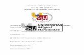 UNIVERSIDAD MIGUEL HERNÁNDEZ FACULTAD DE …dspace.umh.es/bitstream/11000/4038/1/RUZ NAVARRO, IRENE.pdf · Disfunciones del suelo pélvico ... entre los que se encuentra la rehabilitación