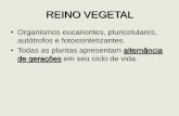 REINO VEGETAL - escola.unitau.brescola.unitau.br/files/.../Profa_Luciana_Reino_Plantae_1524741584.pdf · REINO VEGETAL •Organismos eucariontes, pluricelulares, autótrofos e fotossintetizantes.