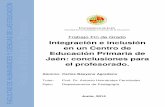 Integración e inclusión en un Centro de Educación Primaria ...tauja.ujaen.es/bitstream/10953.1/881/7/TFG_BaeyensAgredano,Carlos.pdf · Contexto de investigación. 21 4.3. Población