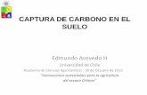 CAPTURA DE CARBONO EN EL SUELO - academiaagronomica.cl · •Salinidad (Riego) •Sodicidad (Riego) •Pérdidas de C del suelo (Labranza y Quemas) ... El COS puede alcanzar un punto