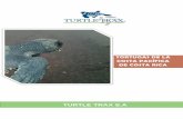 TURTLE TRAX S · La tortuga baula es la tortuga marina más grande y el reptil más pesada del planeta. Estas tortugas se encuentran en el Atlántico y el ... Nicaragua y Costa Rica.