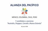 ALIANZA DEL PACÍFICO +4 - ccmexcol.comccmexcol.com/wp-content/uploads/2018/07/ALIANZA_DEL_PACIFICO... · como cualquier otro acuerdo celebrado en el ámbito de la Alianza del Pacífico,