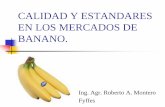 CALIDAD Y ESTANDARES EN LOS MERCADOS DE BANANO. · EN LOS MERCADOS DE BANANO. Ing. Agr. Roberto A. Montero Fyffes. Caracterización de la Industria Bananera Colombiana. Producción