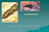 PLATELMINTOS - Escuela de Biologia - Facultad de Ciencias ... 10.pdf · Movimiento unidireccional