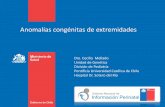 Anomalías congénitas de extremidades - DEIS · Ausencia de pulgar con hipoplasia antebrazo, con compromiso radial y cubital . Gobierno de Chile / Ministerio de Salud Anomalías