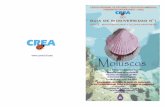 - Universidad de Antofagastaintranetua.uantof.cl/crea/guia moluscos.pdf · Esta Guía de Campo para la identificación de moluscos ... identificación taxonómica de moluscos, que
