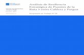 Análisis de Resiliencia Estratégica de Puentes de la ... · específicamente respecto a la redundancia de sus puentes y viaductos ubicados entre Caldera y Pargua. El objetivo del