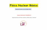 Juan Antonio Caballerosica Nuclear... · Manuel Lozano Leyva (FQM-160) Juan Antonio Caballero Departamento de Física Atómica, Molecular y Nuclear