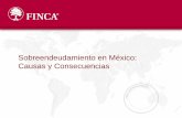 Sobreendeudamiento en México: Causas y Consecuencias - Rupert Scotfield... · 1. Historial Estudio 2. ¿Cuáles son los niveles de endeudamiento en las ... •Ciclos colectivos alargados