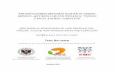 MODIFICADORES METABÓLICOS EN EL CERDO IBÉRICO ...hera.ugr.es/tesisugr/28869795.pdf · Influencia de la betaína y el ácido linoleico conjugado en el desarrollo de los cortes de