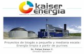 Proyectos de biogás a pequeña y mediana escala: Energía ... · Estiercol de caballo sin paja 28 75 300 55 111 - - - Estiercol vacuno con restos de alimentos 8 80 370 55 42 3,5
