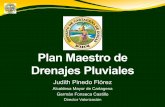 Plan Maestro de Drenajes Pluviales - sigob.cartagena.gov.cosigob.cartagena.gov.co/.../Valorizacion/Documentos/plan_maestro.pdf · Plan Maestro de Drenajes Pluviales Judith Pinedo