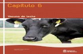 capitulo 6 - vacuno de leche Maqueta Libro Ganadería · a la producción de leche para su venta en la vecindad o poblaciones cercanas. “En la parte baja o Ribera, el ganado vacuno