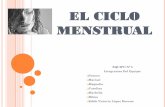 EL CICLO MENSTRUAL - fcejacinto.files.wordpress.com · El ciclo menstrual es un periodo en el que la mujer experimenta cambios en su cuerpo, ... Después de que un par de años, los