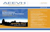 AEEVH E.Vascular 2013-BAJA.pdf · apoyo en todo el proceso. AEEVH YA EStÁ EN LA ... ESPACIo WEB DE LA ASoCIACIoN ESPAÑoLA DE ENFERMERIA VASCuLAR ... • defectos en la coagulación