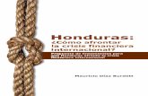 Honduras · Algunos antecedentes breves de la crisis en Honduras 19 Lineamientos ... contar con sindicatos, empresarios y otros ... de esta crisis y sus repercusiones.