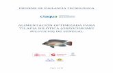ALIMENTACIÓN OPTIMIZADA PARA TILAPIA NILÓTICA … · Segovia) un proyecto titulado ... La tilapia es un pez teleósteo del orden perciformes, perteneciente a la familia Cichlidae,