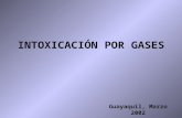 INTOXICACIÓN POR GASES - Higiene Ocupacional2004-11-14 · INTOXICACIÓN POR GASES Guayaquil, Marzo 2002 CLASIFICACIÓN Según el mecanismo de acción por el que produzcan su toxicidad,